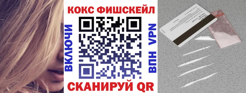 COCAIN Fish Scale Сысерть