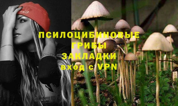 первитин Балахна