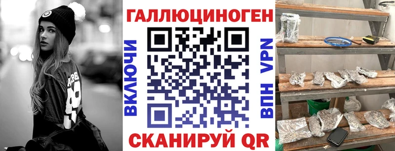 закладка Сысерть Галлюциногенные грибы Magic Shrooms